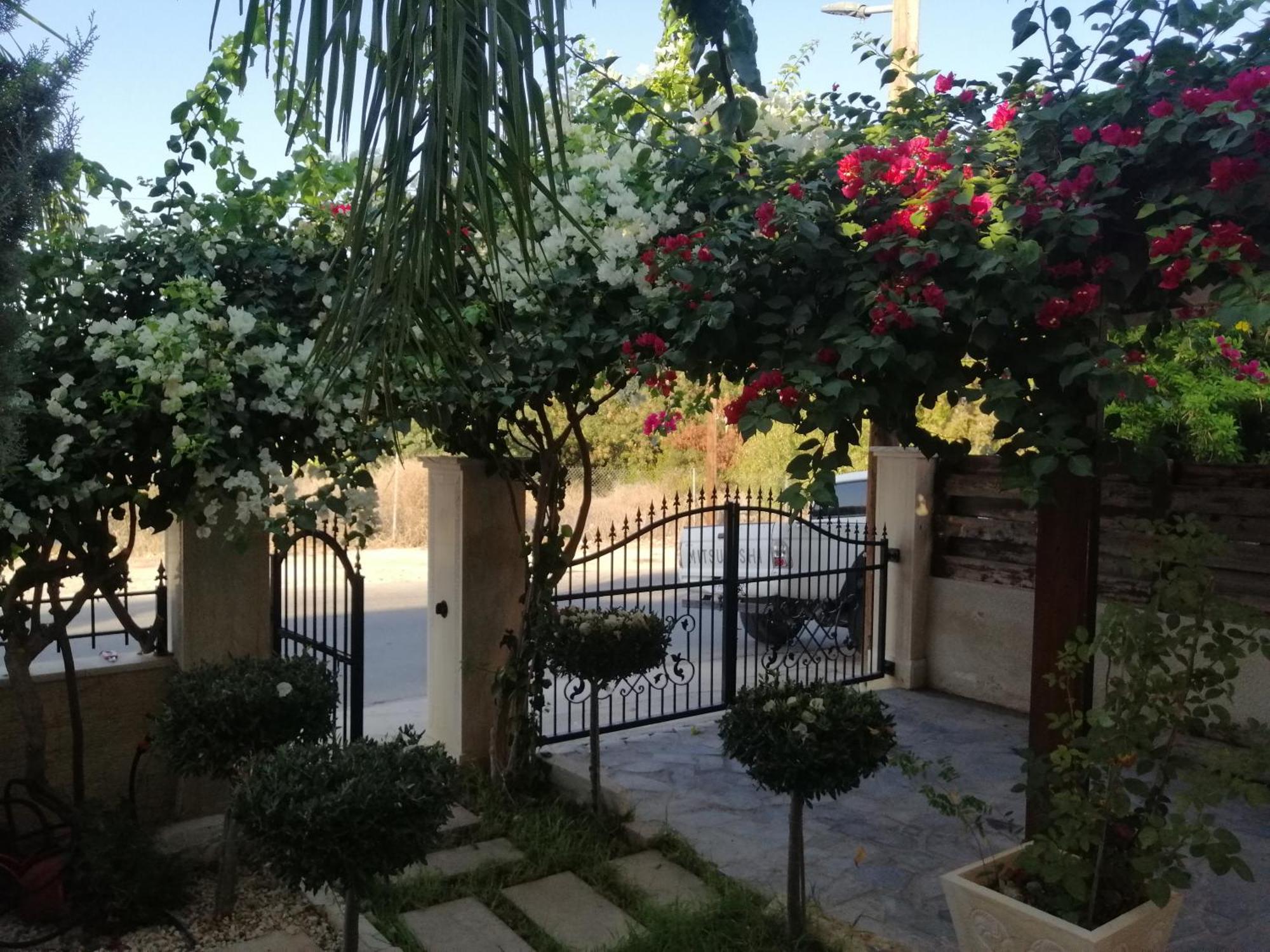 Villa Myria Paphos Zimmer foto